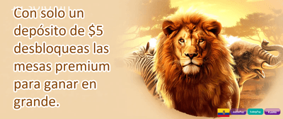 Bono Sin Depósito Inicial 🎁 promotion